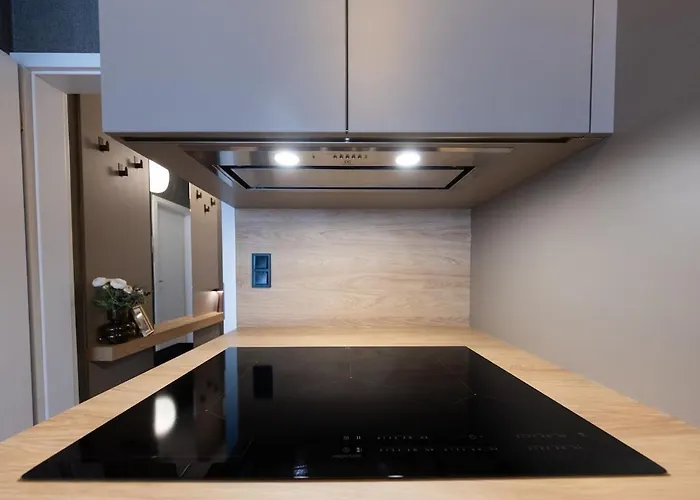 Fancy Private Parking & Garden 布达佩斯