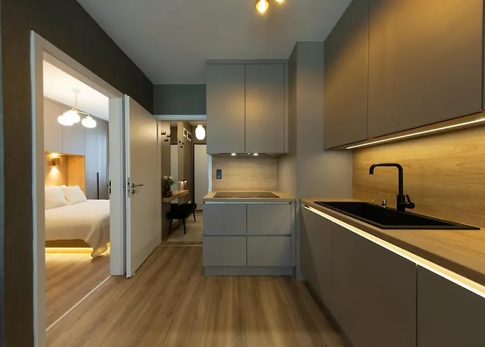 Fancy Private Parking & Garden 公寓 布达佩斯
